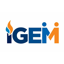 IGEM Logo